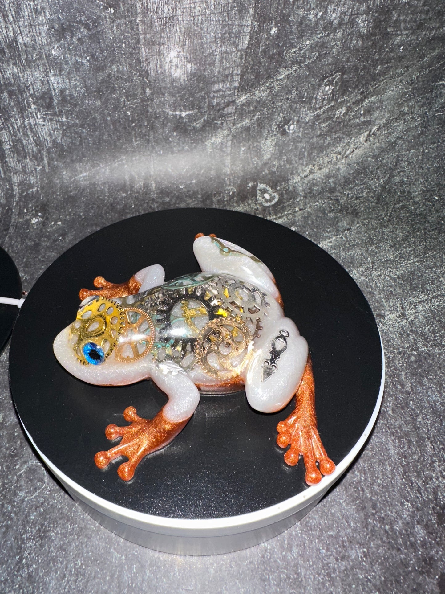 Gorgeous Steampunk Frog